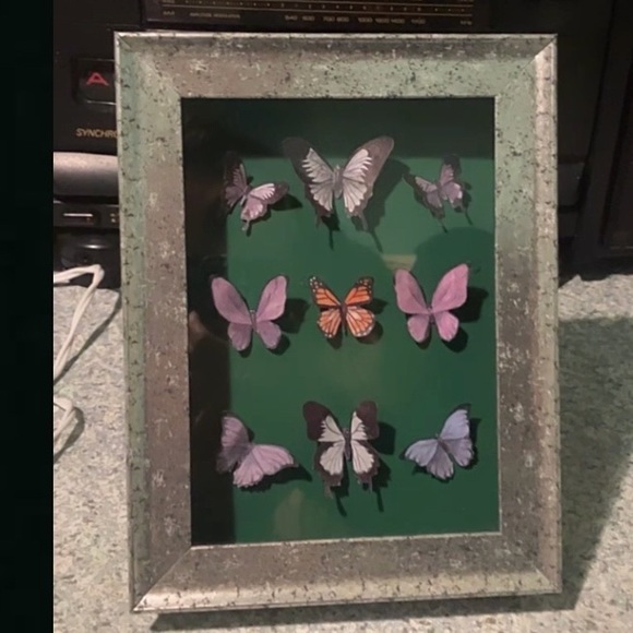 NEW ORIGINAL CUSTOM BUTTERFLY DISPLAY CASE ORDERS - Picture 4 of 6
